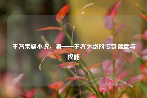 王者荣耀小说,澜——王者之影的传奇篇章与权能