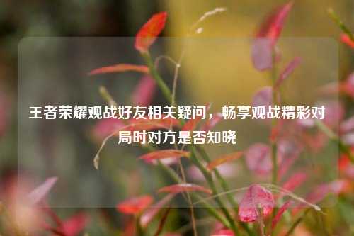 王者荣耀观战好友相关疑问,畅享观战精彩对局时对方是否知晓