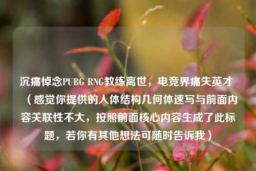 沉痛悼念PUBG RNG教练离世,电竞界痛失英才 (感觉你提供的人体结构几何体速写与前面内容关联性不大,按照前面核心内容生成了此标题,若你有其他想法可随时告诉我)
