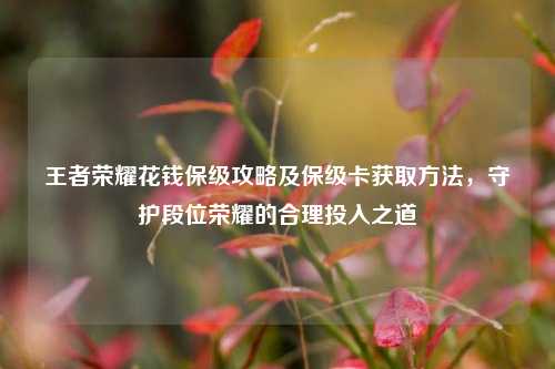王者荣耀花钱保级攻略及保级卡获取方法,守护段位荣耀的合理投入之道