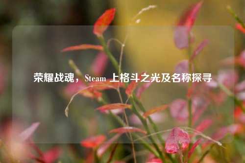 荣耀战魂,Steam 上格斗之光及名称探寻