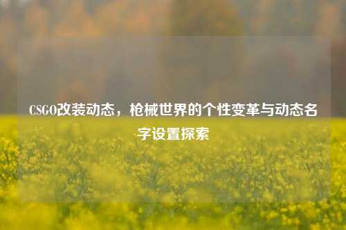 CSGO改装动态,枪械世界的个性变革与动态名字设置探索