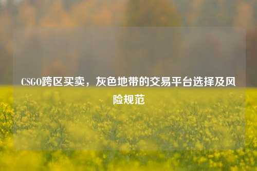 CSGO跨区买卖,灰色地带的交易平台选择及风险规范