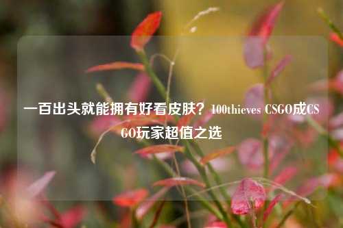 一百出头就能拥有好看皮肤?100thieves CSGO成CSGO玩家超值之选