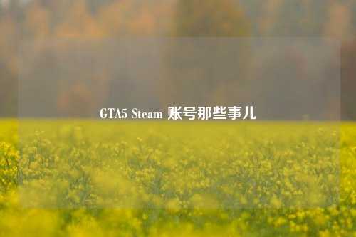 GTA5 Steam 账号那些事儿