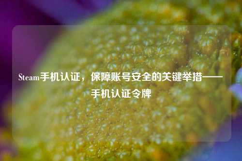 Steam手机认证，保障账号安全的关键举措——手机认证令牌