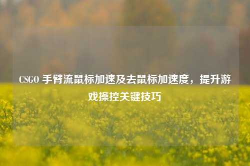 CSGO 手臂流鼠标加速及去鼠标加速度,提升游戏操控关键技巧