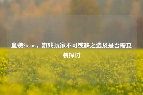 盒装Steam,游戏玩家不可或缺之选及是否需安装探讨