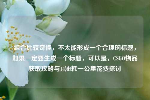 组合比较奇怪，不太能形成一个合理的标题，如果一定要生成一个标题，可以是，CSGO物品获取攻略与14油耗一公里花费探讨