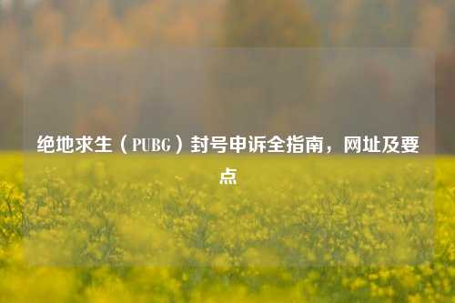 绝地求生（PUBG）封号申诉全指南，网址及要点