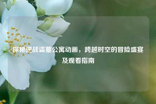 探秘逆战盗墓公寓动画，跨越时空的冒险盛宴及观看指南