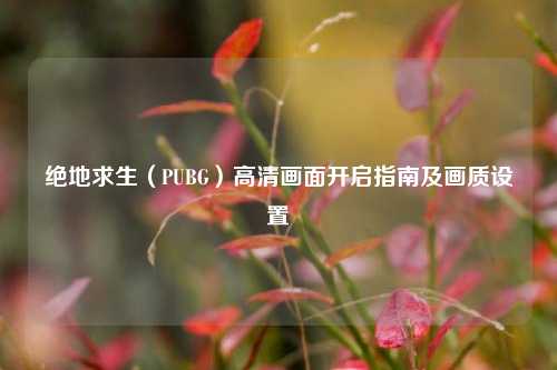 绝地求生（PUBG）高清画面开启指南及画质设置