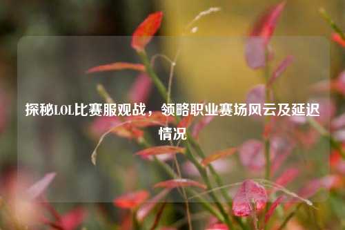 探秘LOL比赛服观战，领略职业赛场风云及延迟情况