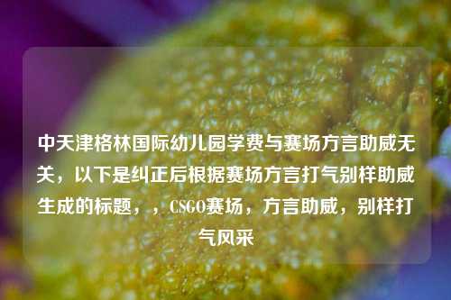 中天津格林国际幼儿园学费与赛场方言助威无关，以下是纠正后根据赛场方言打气别样助威生成的标题，，CSGO赛场，方言助威，别样打气风采