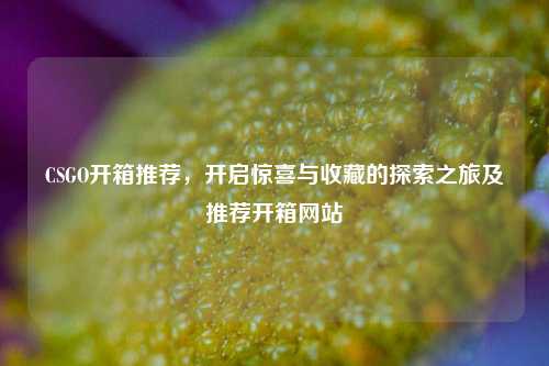 CSGO开箱推荐，开启惊喜与收藏的探索之旅及推荐开箱网站