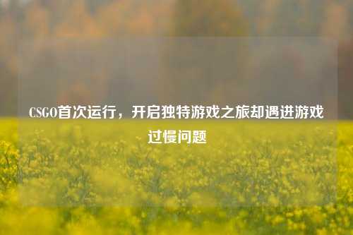 CSGO首次运行，开启独特游戏之旅却遇进游戏过慢问题