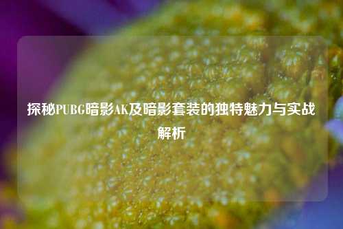 探秘PUBG暗影AK及暗影套装的独特魅力与实战解析