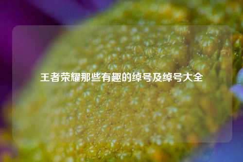 王者荣耀那些有趣的绰号及绰号大全