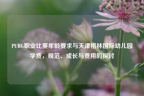 PUBG职业比赛年龄要求与天津格林国际幼儿园学费，规范、成长与费用的探讨