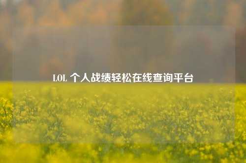 LOL 个人战绩轻松在线查询平台