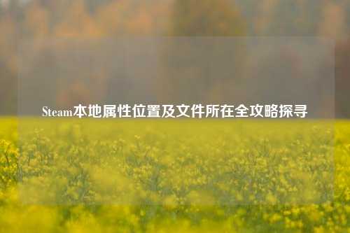Steam本地属性位置及文件所在全攻略探寻