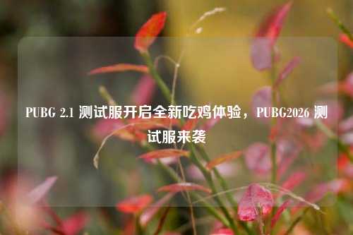 PUBG 2.1 测试服开启全新吃鸡体验，PUBG2026 测试服来袭
