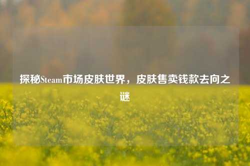 探秘Steam市场皮肤世界,皮肤售卖钱款去向之谜