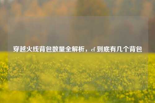 穿越火线背包数量全解析,cf 到底有几个背包
