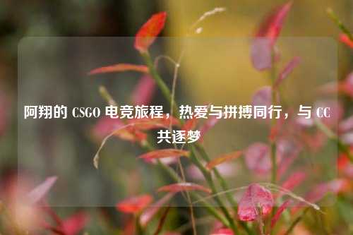 阿翔的 CSGO 电竞旅程，热爱与拼搏同行，与 CC 共逐梦