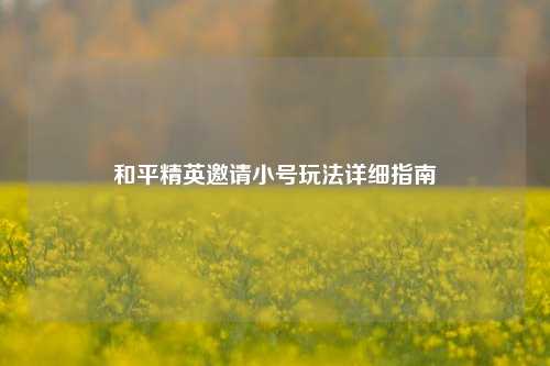 和平精英邀请小号玩法详细指南