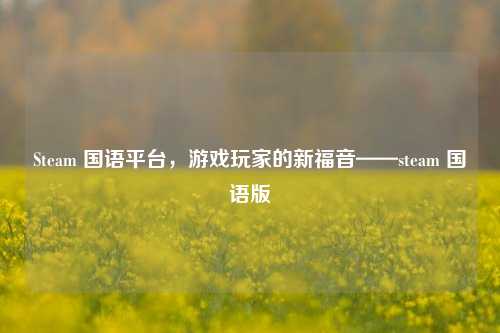 Steam 国语平台,游戏玩家的新福音——steam 国语版