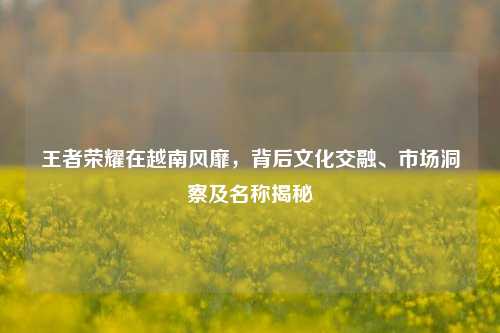王者荣耀在越南风靡，背后文化交融、市场洞察及名称揭秘