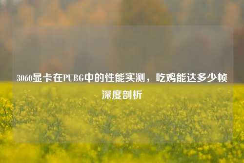 3060显卡在PUBG中的性能实测，吃鸡能达多少帧深度剖析