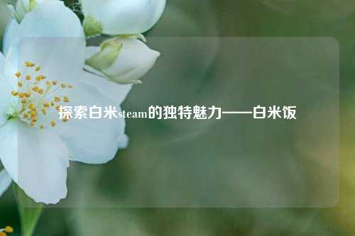探索白米steam的独特魅力——白米饭