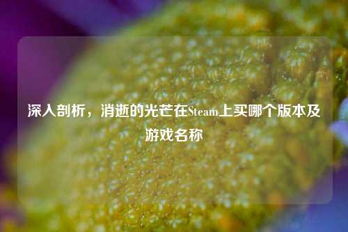 深入剖析，消逝的光芒在Steam上买哪个版本及游戏名称