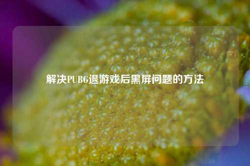 解决PUBG退游戏后黑屏问题的方法