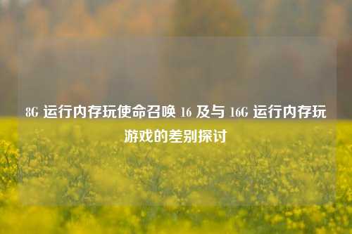 8G 运行内存玩使命召唤 16 及与 16G 运行内存玩游戏的差别探讨