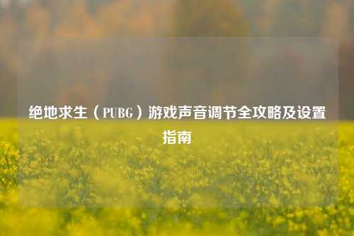 绝地求生（PUBG）游戏声音调节全攻略及设置指南