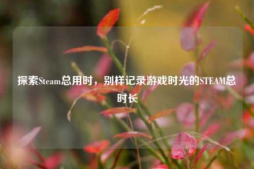 探索Steam总用时，别样记录游戏时光的STEAM总时长