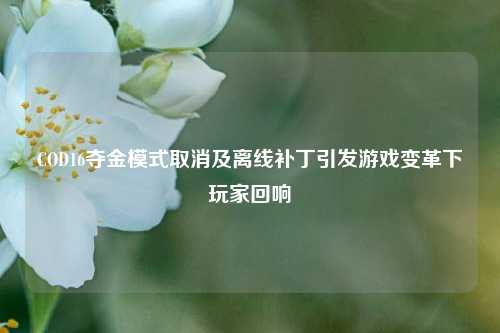 COD16夺金模式取消及离线补丁引发游戏变革下玩家回响