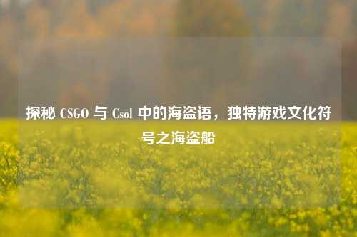 探秘 CSGO 与 Csol 中的海盗语，独特游戏文化符号之海盗船
