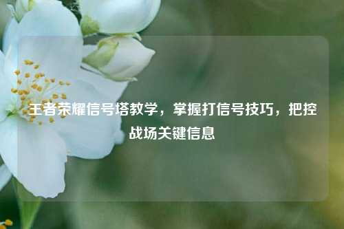 王者荣耀信号塔教学，掌握打信号技巧，把控战场关键信息