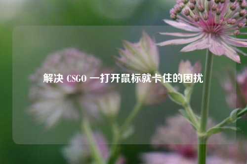 解决 CSGO 一打开鼠标就卡住的困扰