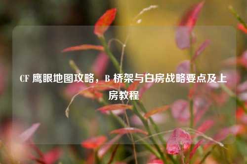 CF 鹰眼地图攻略，B 桥架与白房战略要点及上房教程