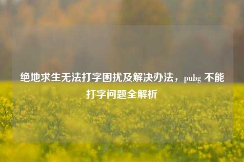 绝地求生无法打字困扰及解决办法，pubg 不能打字问题全解析