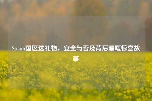 Steam国区送礼物，安全与否及背后温暖惊喜故事