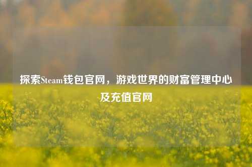 探索Steam钱包官网，游戏世界的财富管理中心及充值官网