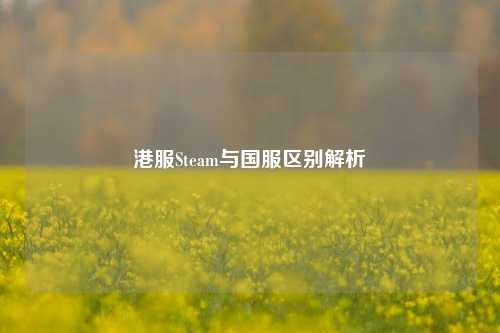 港服Steam与国服区别解析
