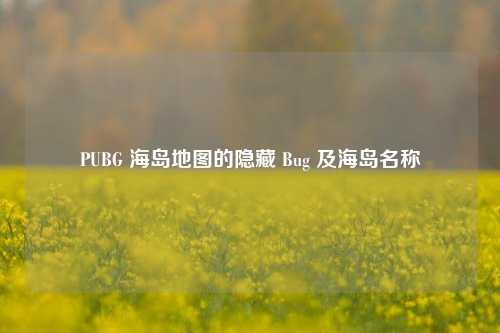 PUBG 海岛地图的隐藏 Bug 及海岛名称