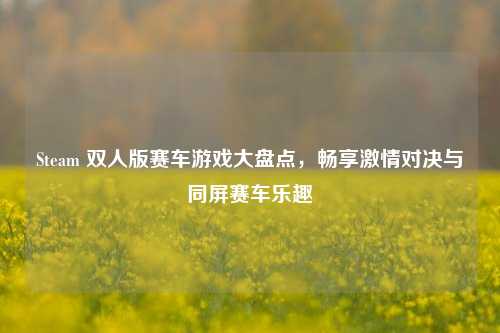 Steam 双人版赛车游戏大盘点，畅享激情对决与同屏赛车乐趣
